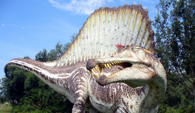 Dinosauri: paleontologo Horner li riabilita, non è vero che erano cattivi