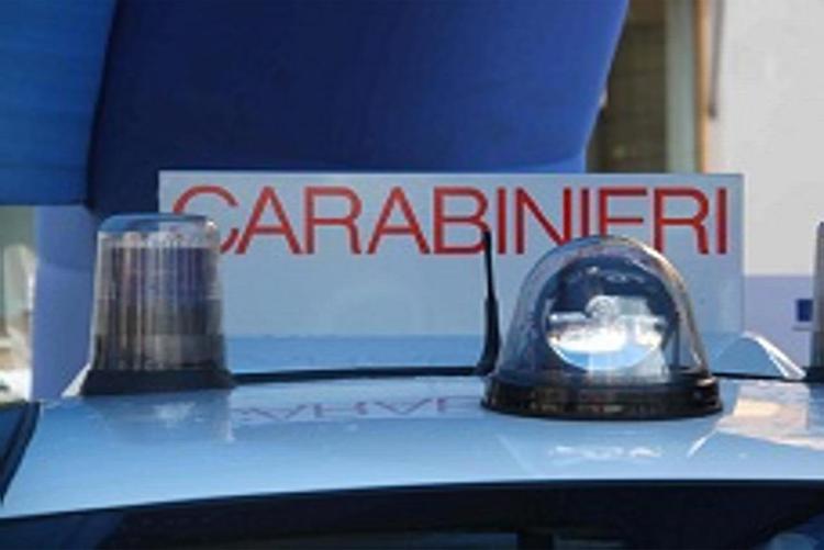Carabinieri sgominano banda ladri d'auto (Infophoto)