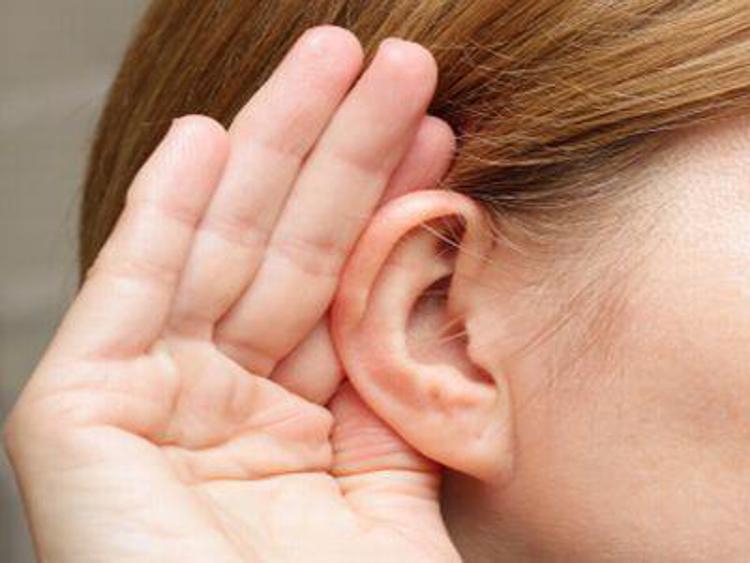 Scoperto virus che 'cura' la sordità