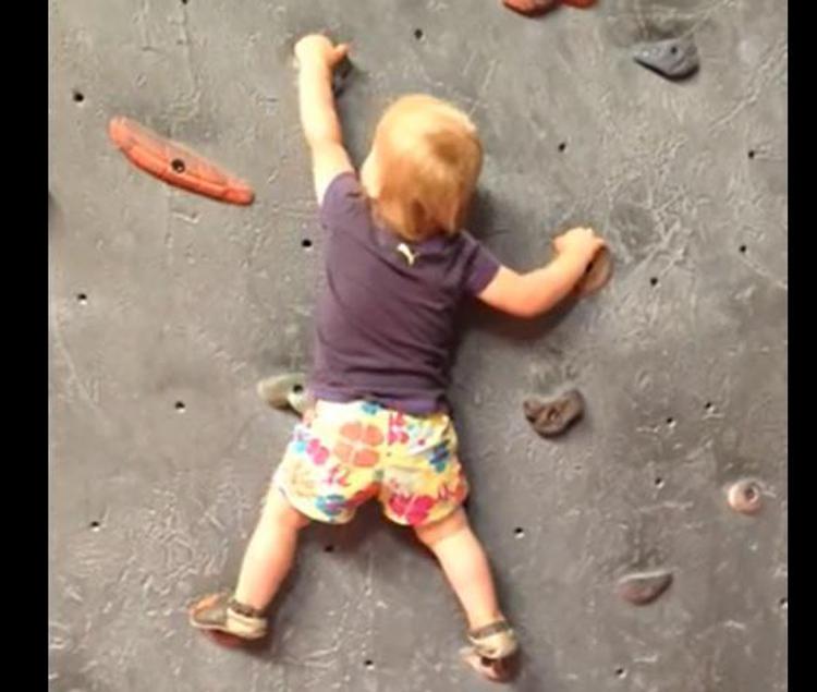 Baby-arrampicate, piccola impavida di 1 anno affronta muro di gomma
