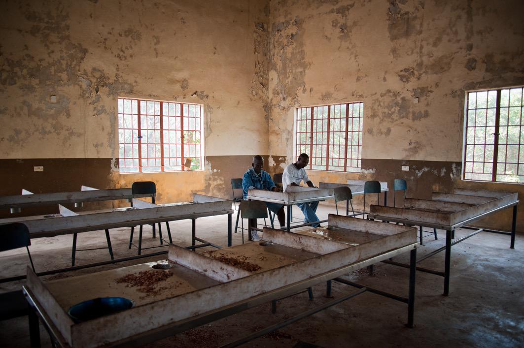 Kambia (Sierra Leone), due lavoratori in una sala per il trattamento industriale degli anacardi. L'azienda lavora a ritmi ridotti per colpa dell'epidemia di ebola.