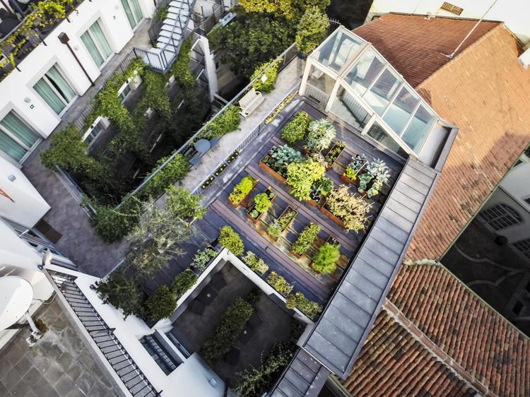 Milano: raccolto record per l'orto su tetto dell'hotel vista Duomo