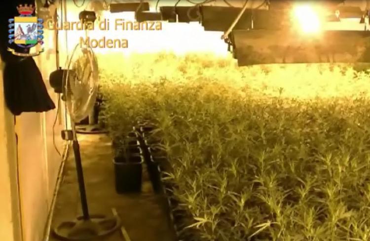 Roma: incendio in appartamento fa scoprire piantagione marijuana, un arresto