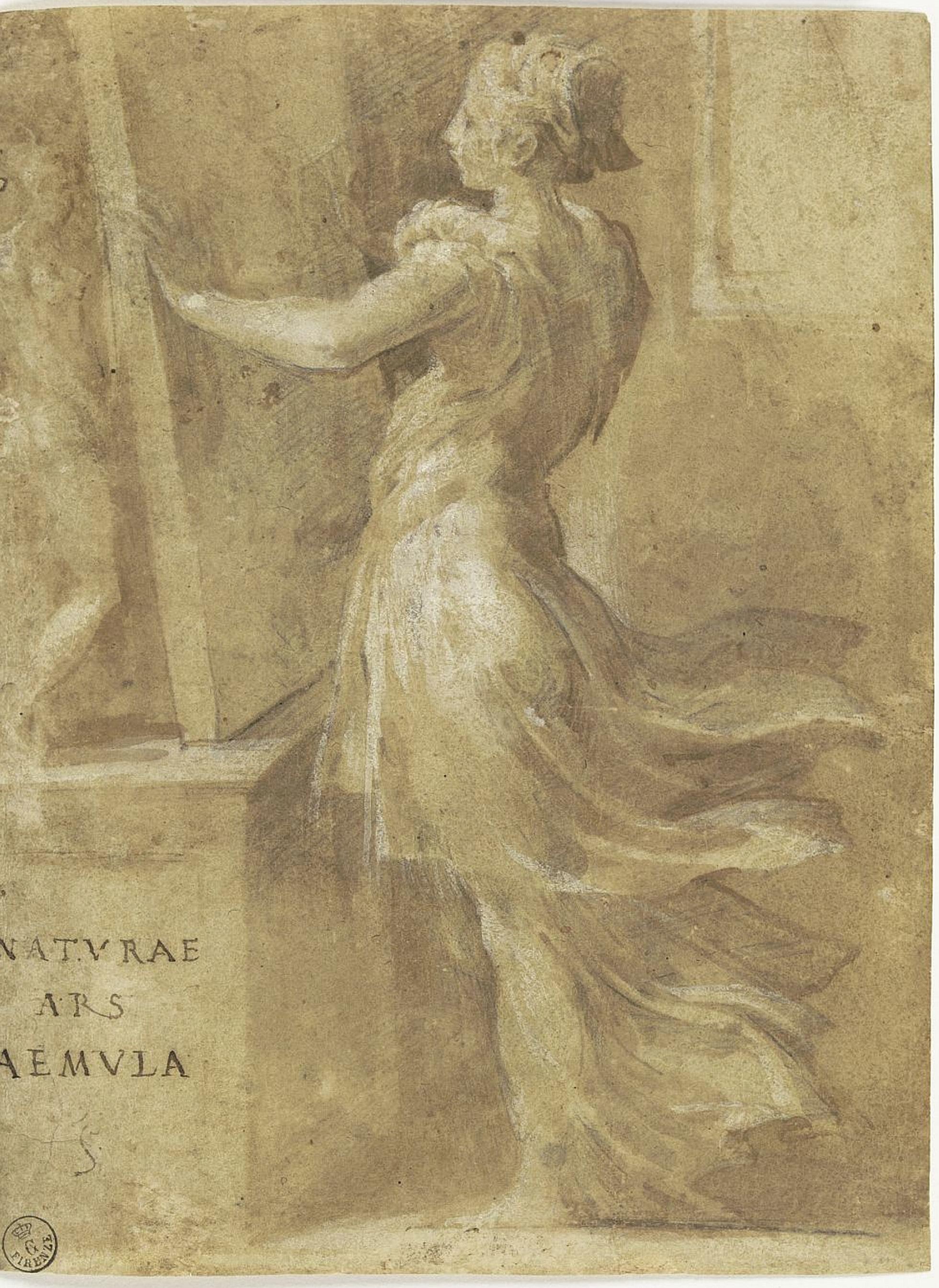 Parmigianino, Naturae Ars Aemula Firenze, Gabinetto Disegni e Stampe degli Uffizi, inv. 1989 F