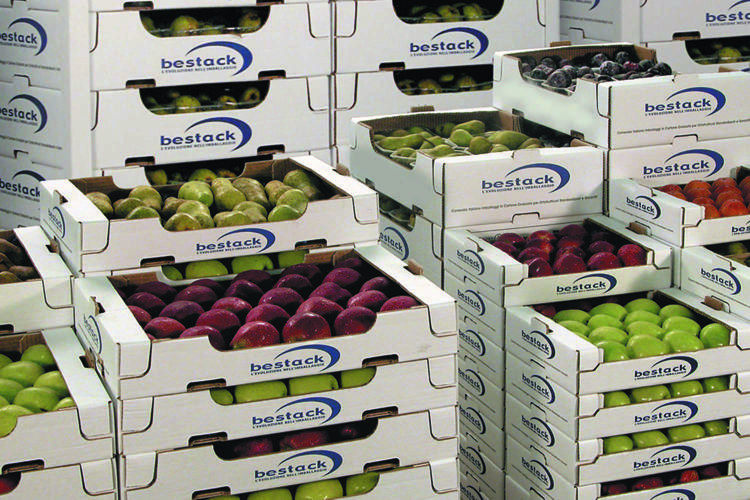 Alimenti: cassette della frutta? Meglio il cartone ondulato della plastica