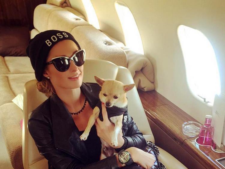 Paris Hilton  con uno dei suoi cani su un volo privato. Foto da Instagram