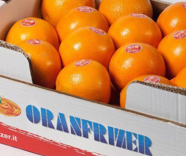 Expo: Oranfrizer, 'viaggio' in Sicilia alla scoperta del giardino delle arance