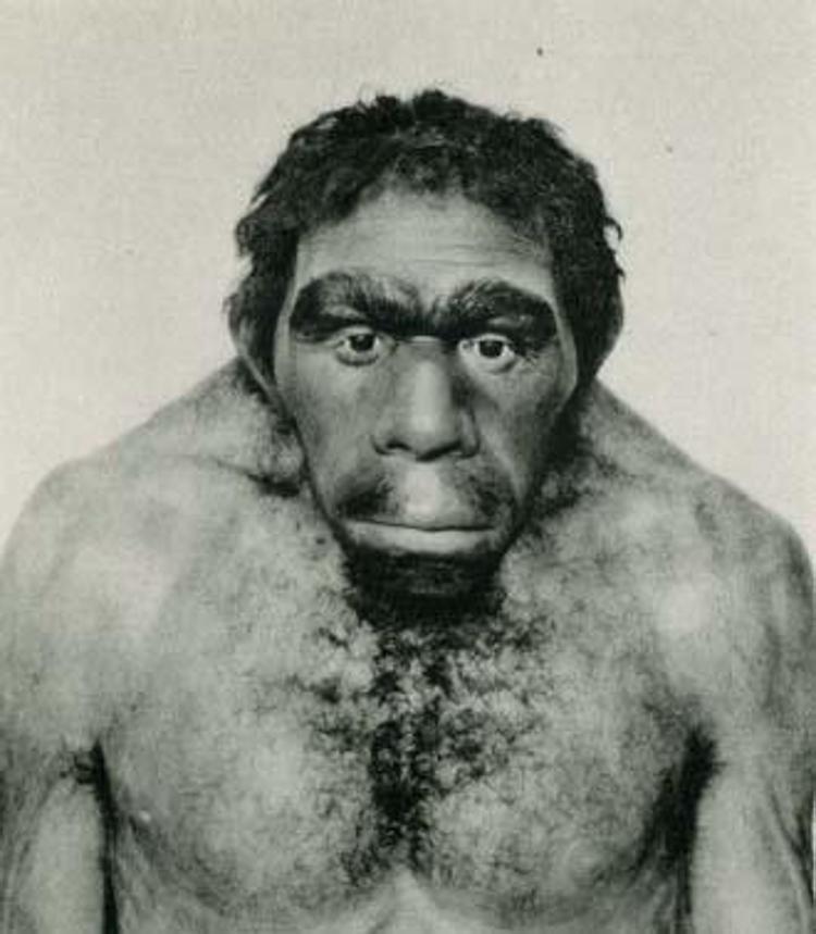 Dalla depressione all'infarto, l'eredità genetica dei Neanderthal