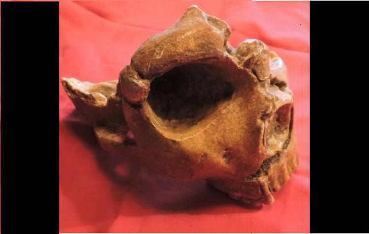 Ricerca: la scoperta, uomo di Neanderthal a Roma 250 mila anni fa