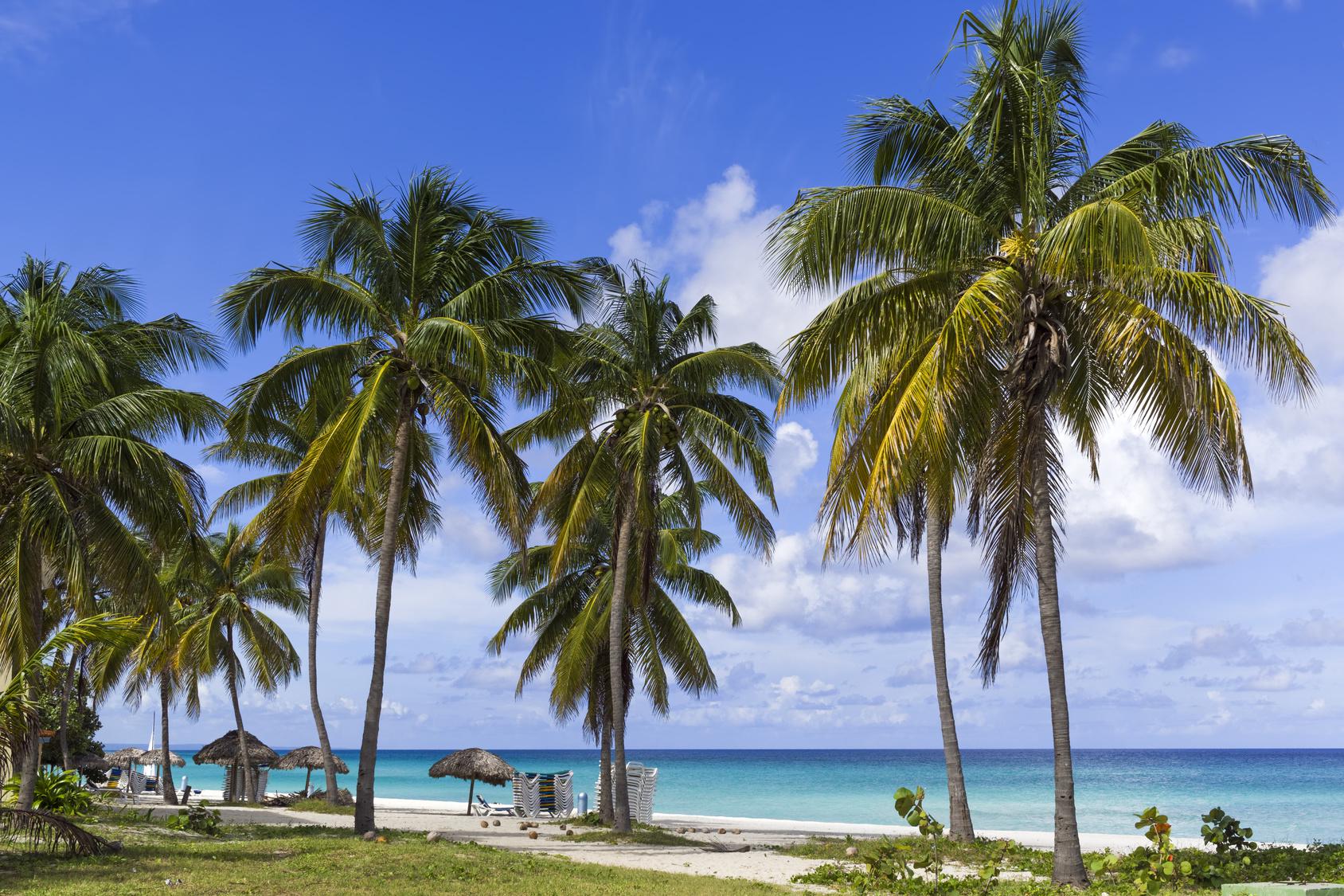 Varadero. Le spiagge di Cuba sono tra le più belle al mondo fra sabbia finissima e bianca e l’acqua limpida cui fa da sfondo una vegetazione lussureggiante che si spinge fino a pochi passi dalla battigia.
