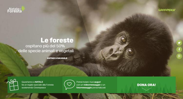 Natale: Greenpeace, regaliamo un futuro alle foreste
