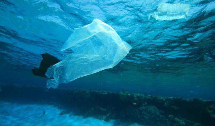 Ambiente: arriva il cestino smart per ripulire gli oceani dai rifiuti galleggianti