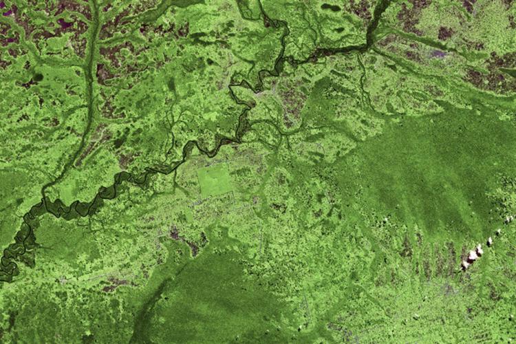 Il Congo ripreso dal satellite Spot-4 (Foto ESA)