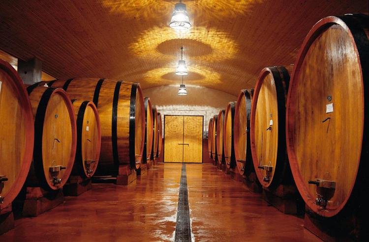 Vinitaly: da Codice Citra vini biovegan a sostegno Parco Abruzzo, Lazio e Molise