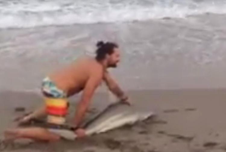 Foto in spiaggia con lo squalo, la stupida prodezza del bagnante /Video