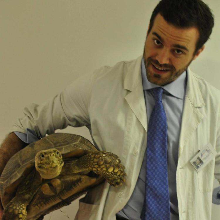E' più sexy del 'dottor California', nasce gruppo Fb su veterinario di Roma