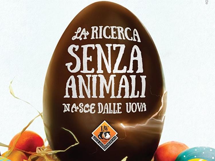 Animali: uova di Pasqua Lav per ricerca scientifica senza cavie