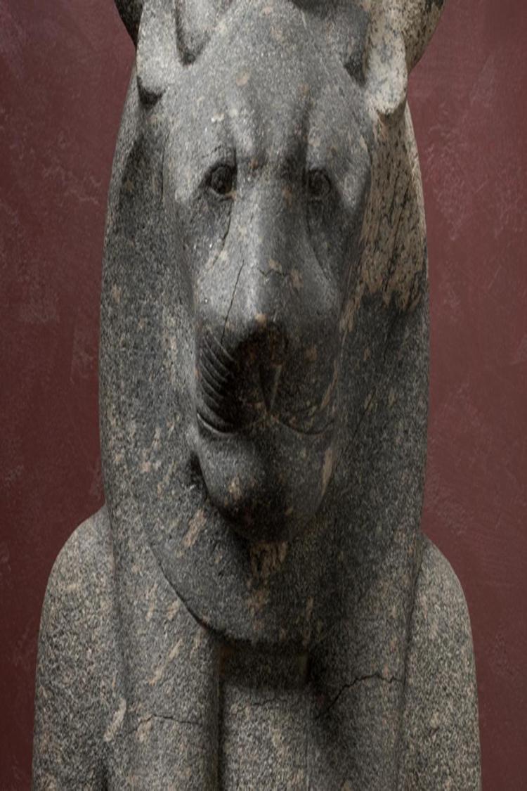 Particolare della testa della statua  della dea Sekhmet