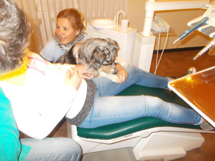 Bimbi dal dentista con il cane, è il progetto 'OdontoPet'