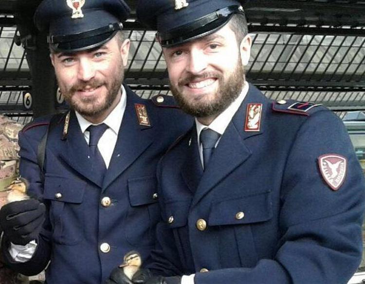 Milano: anatroccoli salvati da polizia sui binari dell'alta velocità