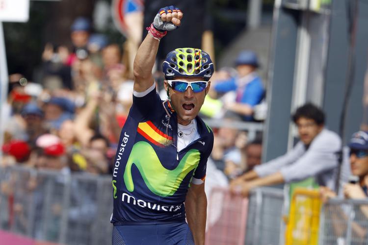 Il ciclista spagnolo  Alejandro Valverde del team Movistar celebrata la vittoria ad Andalo, 16ma tappa del Giro d'Italia (Foto Afp) - AFP