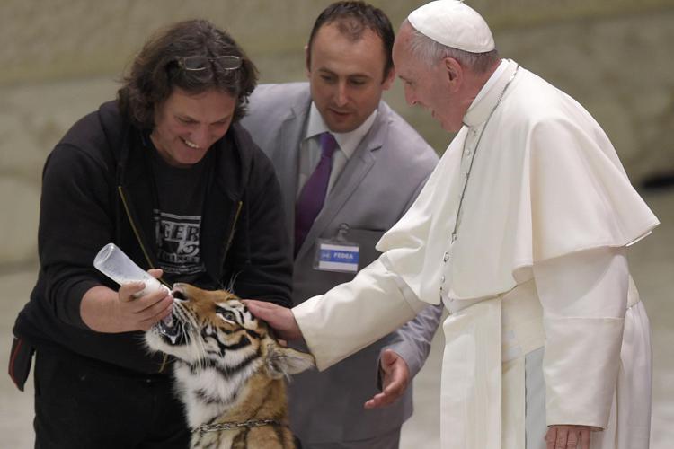 Pope Francis strokes a tiger, praises circus, street performers