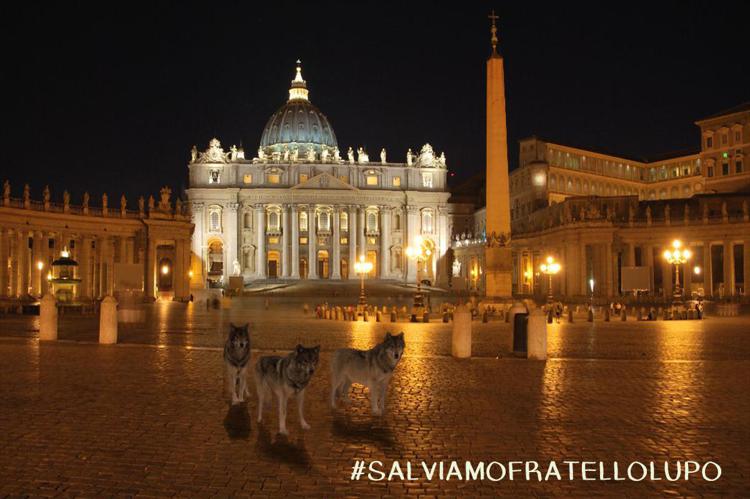 Animali: i lupi invadono il Vaticano, ma è solo una campagna