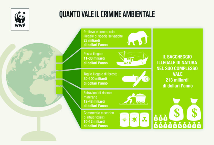 Ambiente: Wwf, crimini natura nel mondo valgono 213 mld dollari