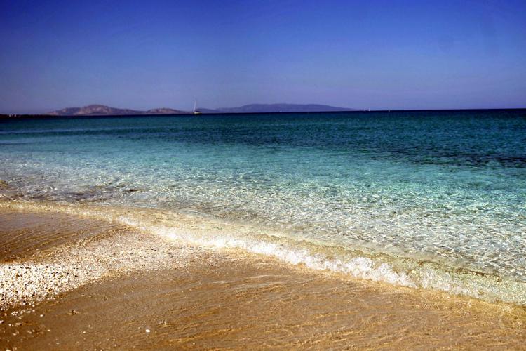 Una spiaggia della Sardegna (Fotogramma)
