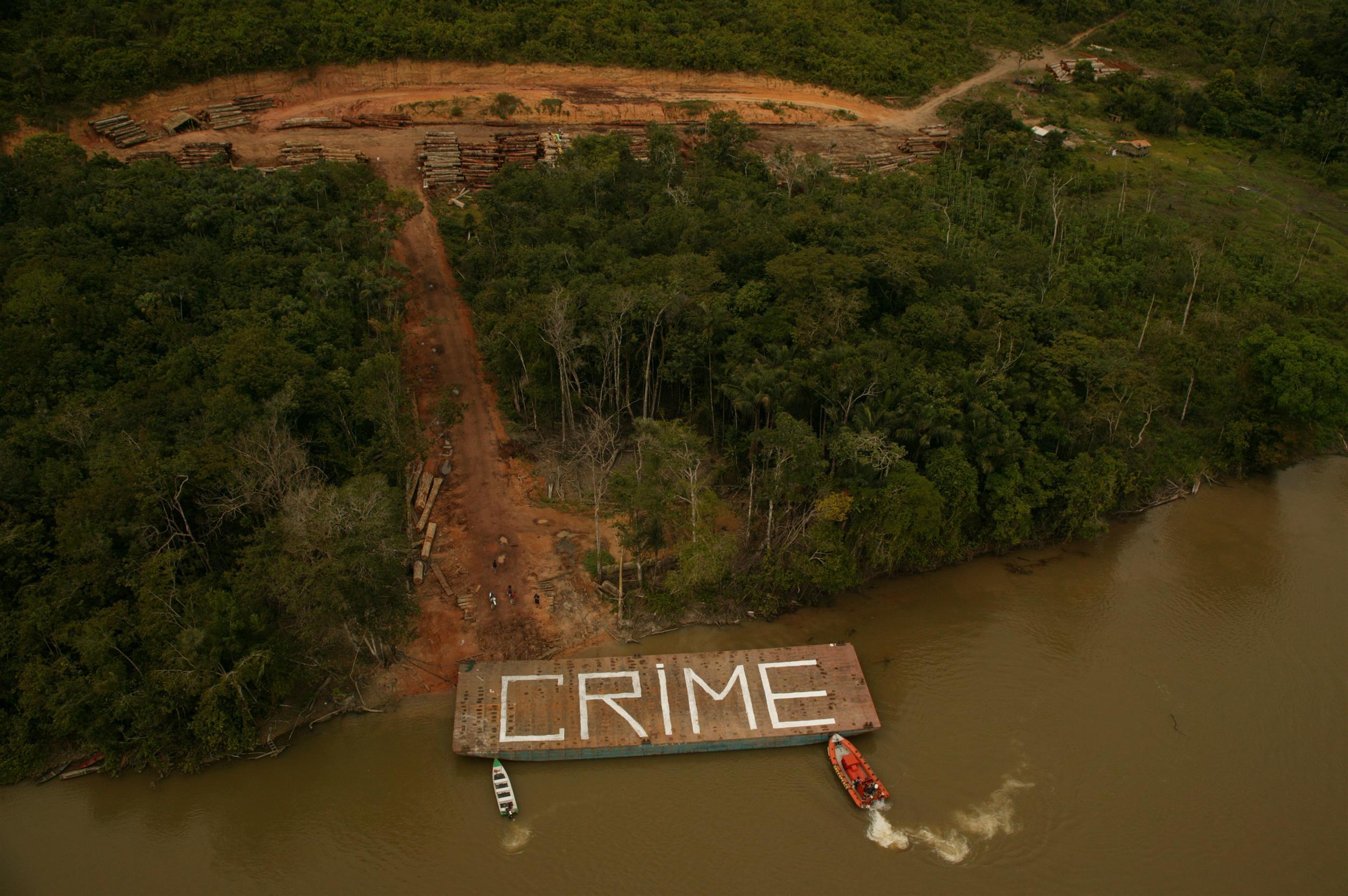 Greenpeace discovers an illegal logging operation with at least 200km of roads serving the operation. Greenpeace activists paint the loggers barge with the message 'CRIME' then uses it to blockade access to the sort yard. A massive amount of logs has already been transported by barge down river.Greenpeace informed Ibama (Brazilian environmental agents) of the discovery.