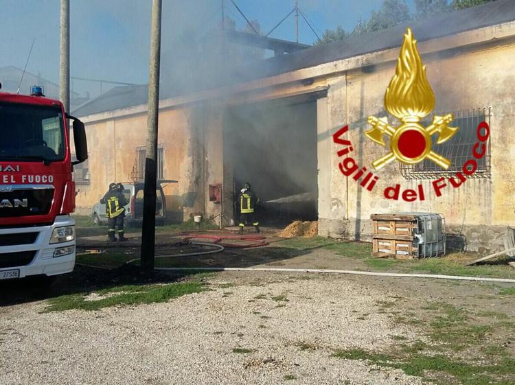 Roma: fienile in fiamme, vigili del fuoco in azione