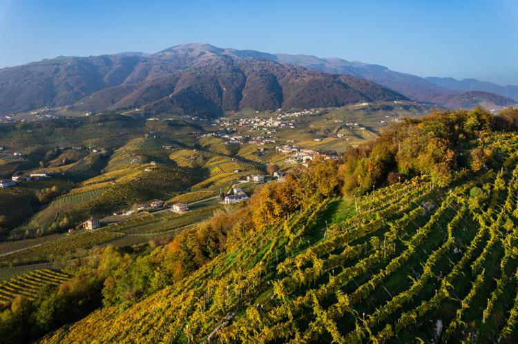 Abruzzo: intesa fra Città del Vino e Regione per cabina di regia