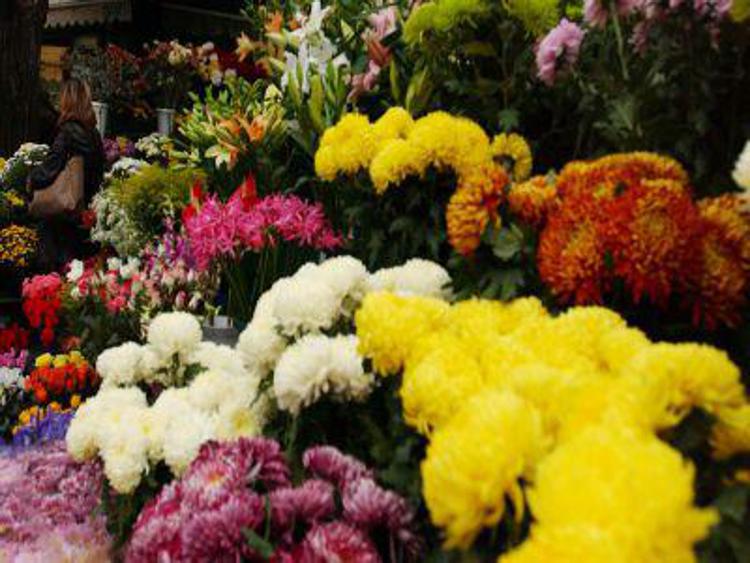 2 novembre: il fiorista, piante e fiori garantiti nonostante clima