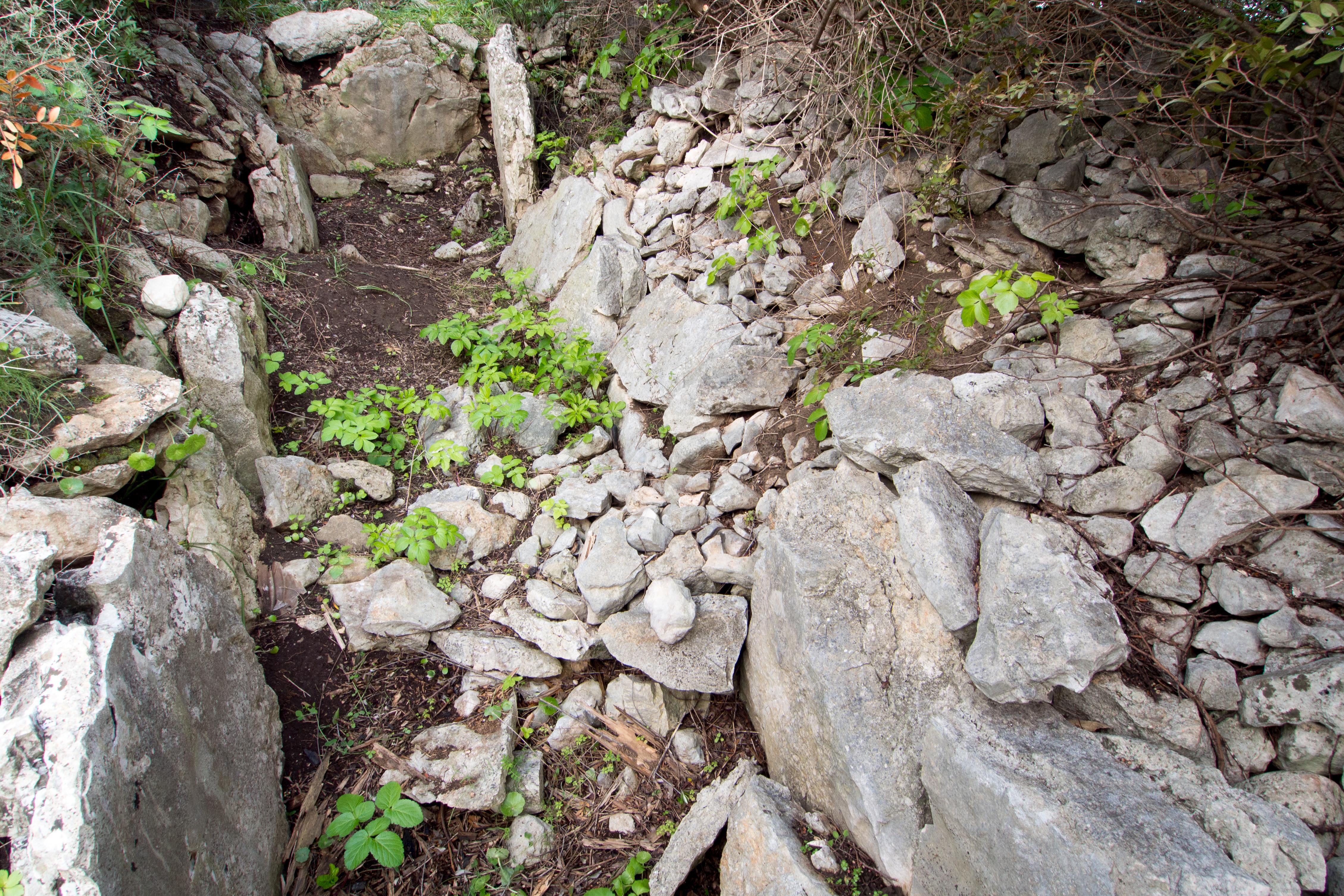 Bisceglie, dolmen 'di Albarosa' (foto di Natalino Russo)