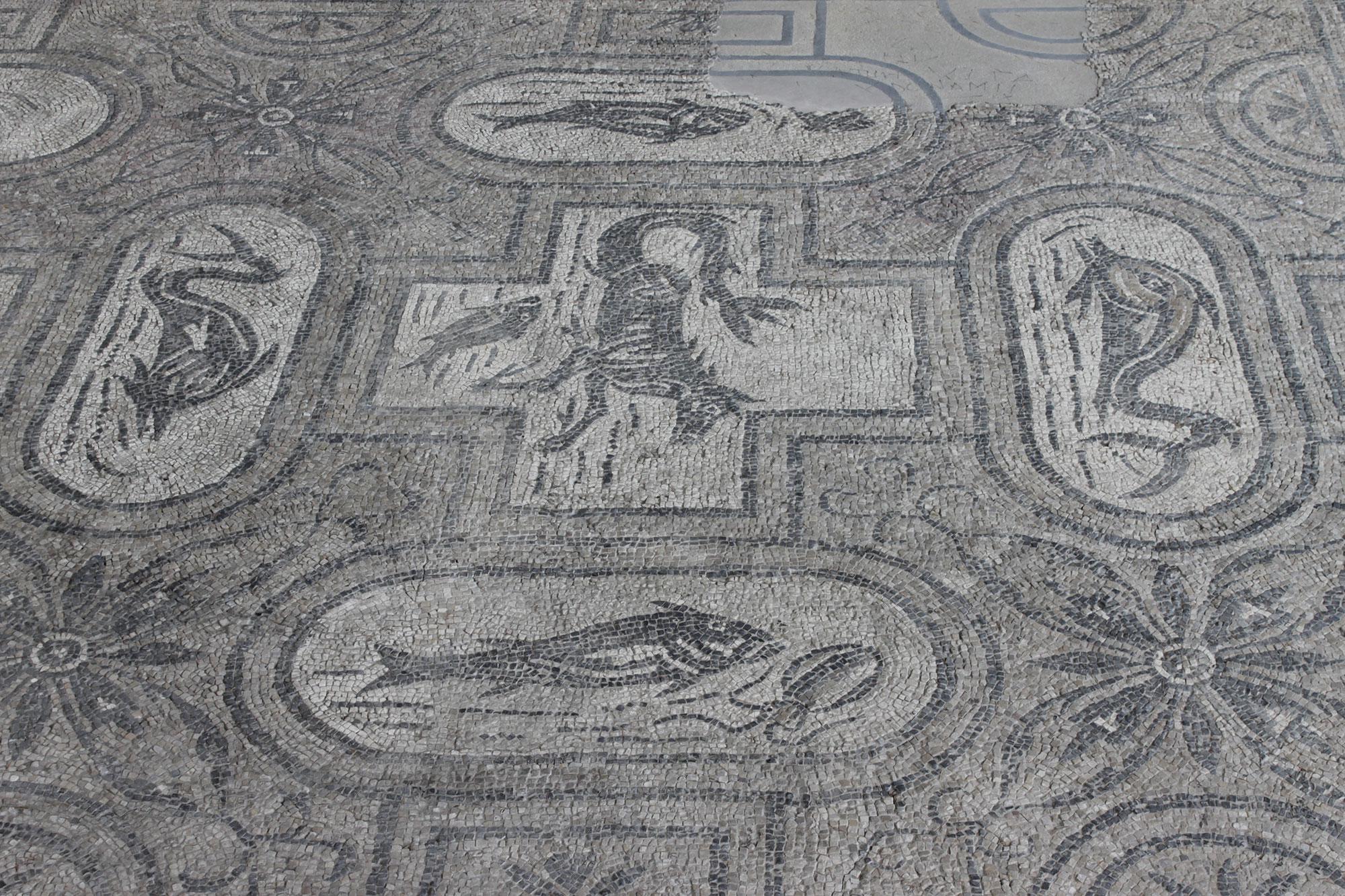Vasto, Mosaici delle terme (foto di Elio Torlontano, su gentile concessione della Direzione regionale per i beni culturali dell'Abruzzo - Soprintendenza per i beni archeologici dell'Abruzzo)