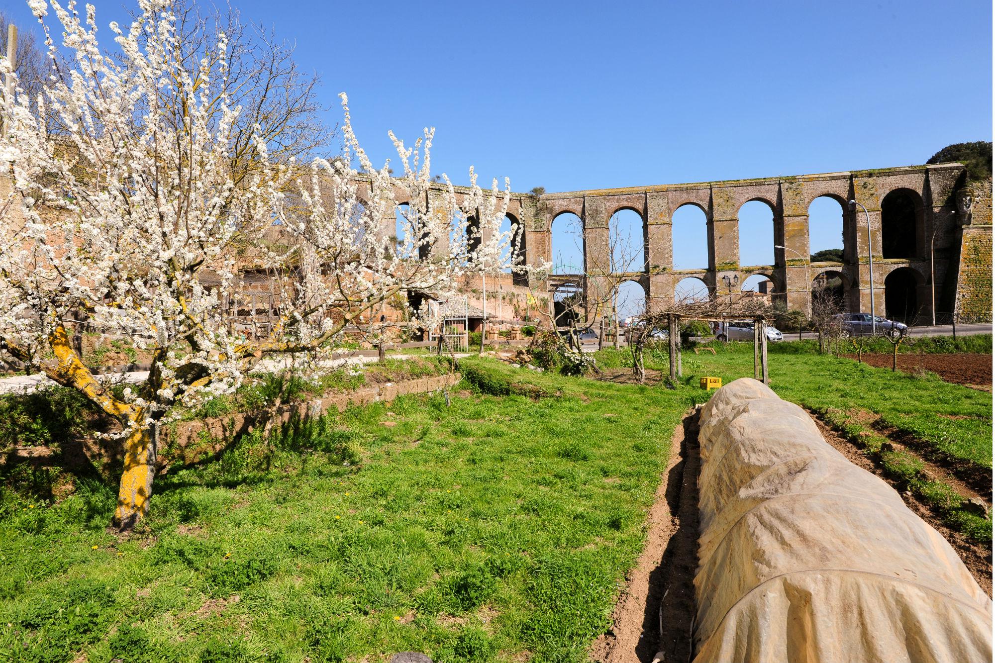 Nepi, acquedotto romano (foto di Fabrizio Ardito)