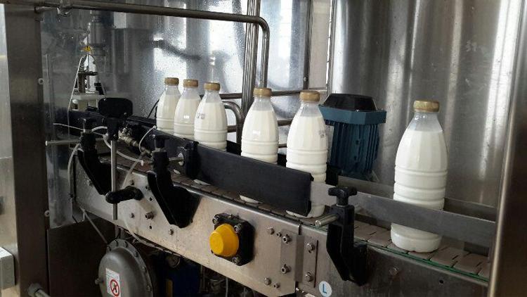 Lazio: Coldiretti, raggiunto accordo su rinnovo prezzo latte