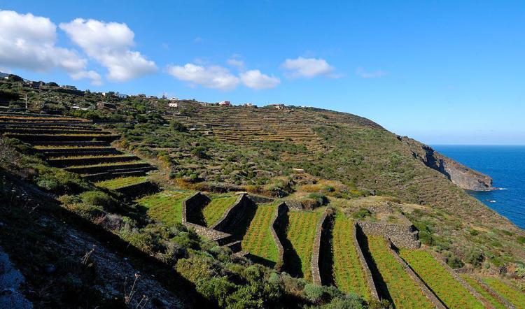 Turismo: al via Passitaly 2016, per promuovere Pantelleria tutto l’anno
