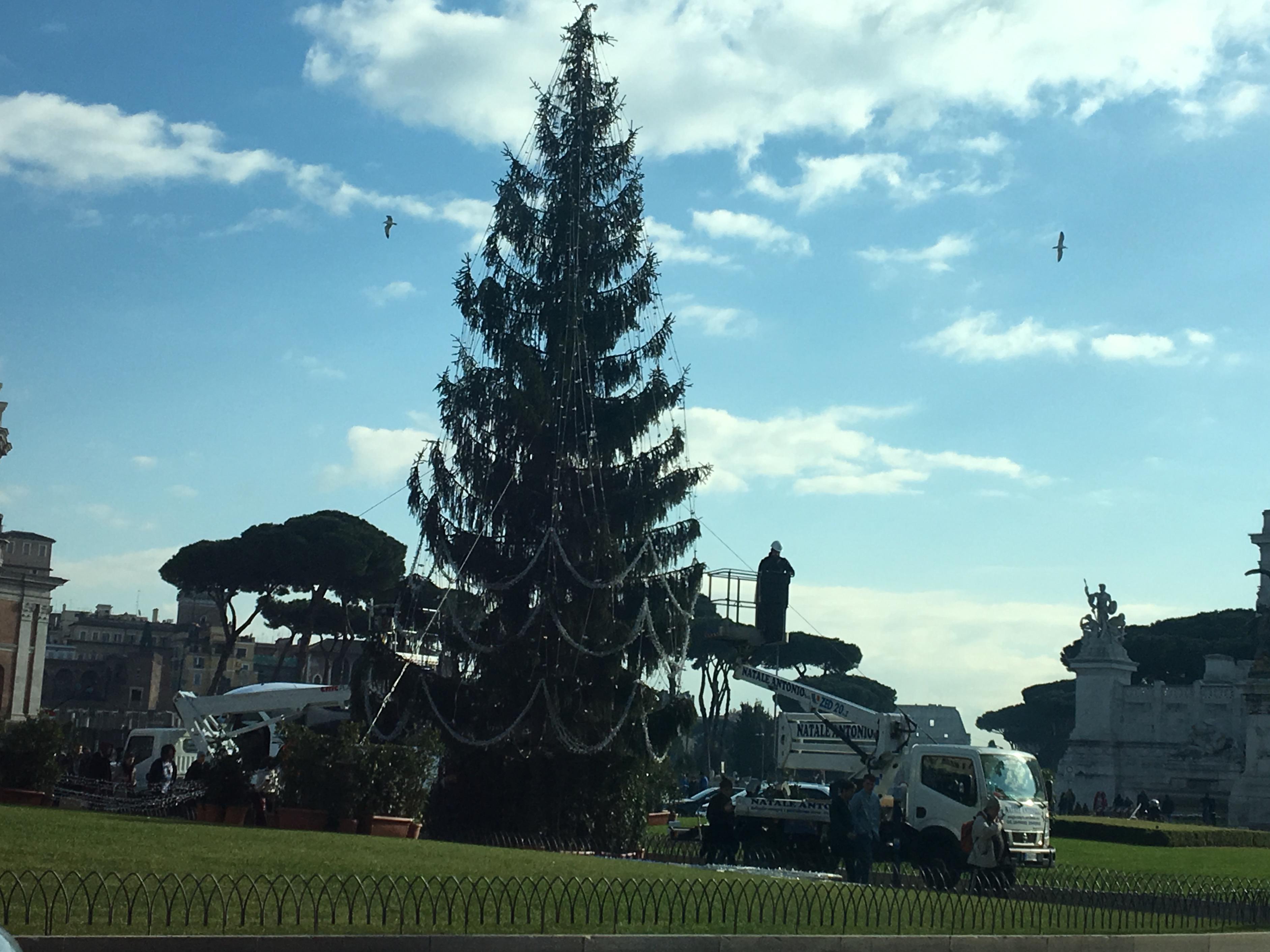 L'albero di Natale a piazza Venezia