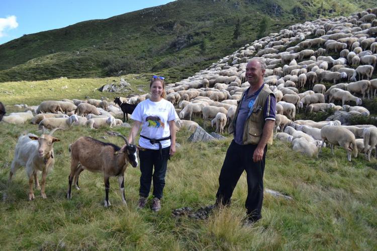 Parchi: pastori per qualche giorno per scoprire predatori e transumanza
