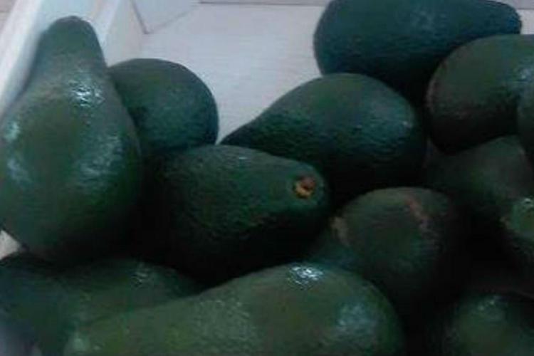 Super Bowl e guacamole, Messico esporterà 200 mln di dollari di avocado