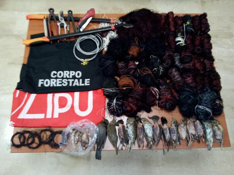 Sardegna: bracconaggio, 1500 trappole rimosse da volontari Lipu