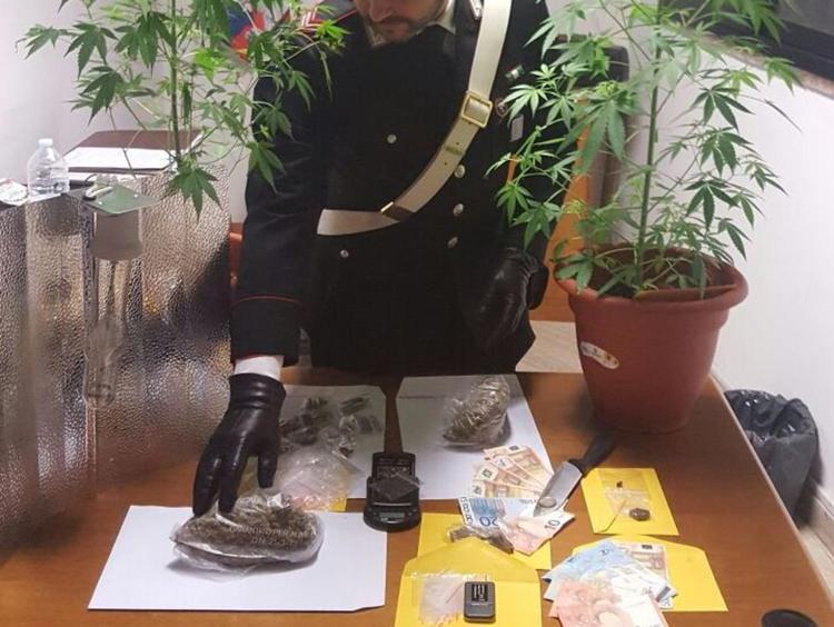 Roma: coltivava marijuana in casa ad Albano, arrestato