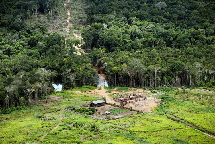 Ambiente: Greenpeace, +75% di deforestazione in Amazzonia in 3 anni