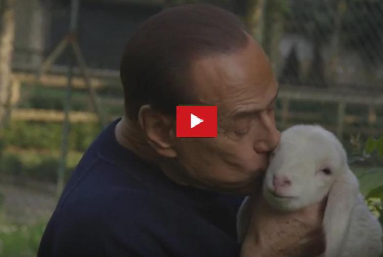 La 'svolta veg' di Berlusconi, salva 5 agnellini a Pasqua