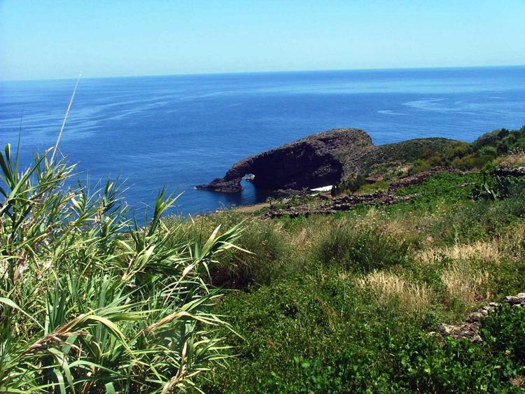 Sicilia: 10mila alberi per Pantelleria per riforestare l'isola
