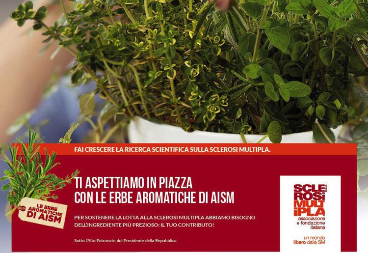 Ricerca: erbe aromatiche Aism in piazza per lotta a sclerosi multipla
