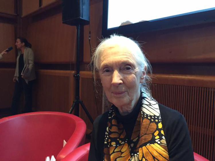 Jane Goodall al  Festival della Scienza di National Geographic (Foto Adnkronos) 
