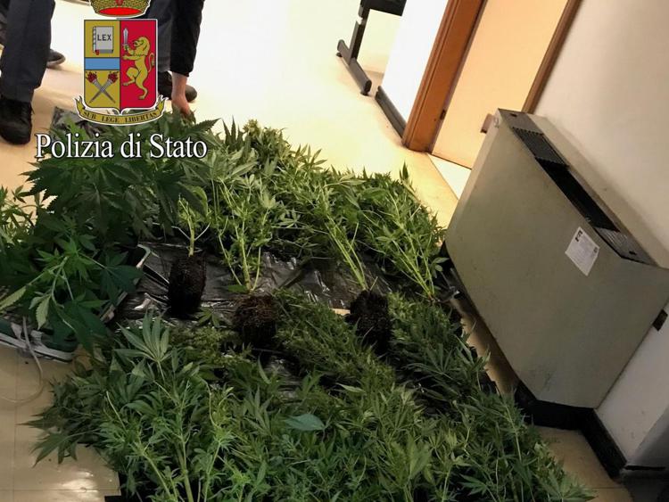 Roma, camera con vista serra marijuana: pensionato in manette