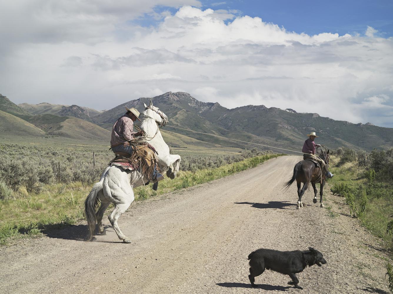 LucasFoglia_Casey and Rowdy Horse Training 71 Ranch_ Deeth, Nevada